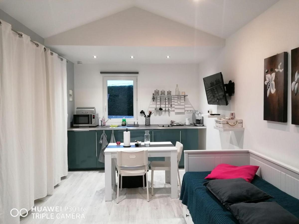Petit Nid Douillet Apartment Reventin-Vaugris Ngoại thất bức ảnh