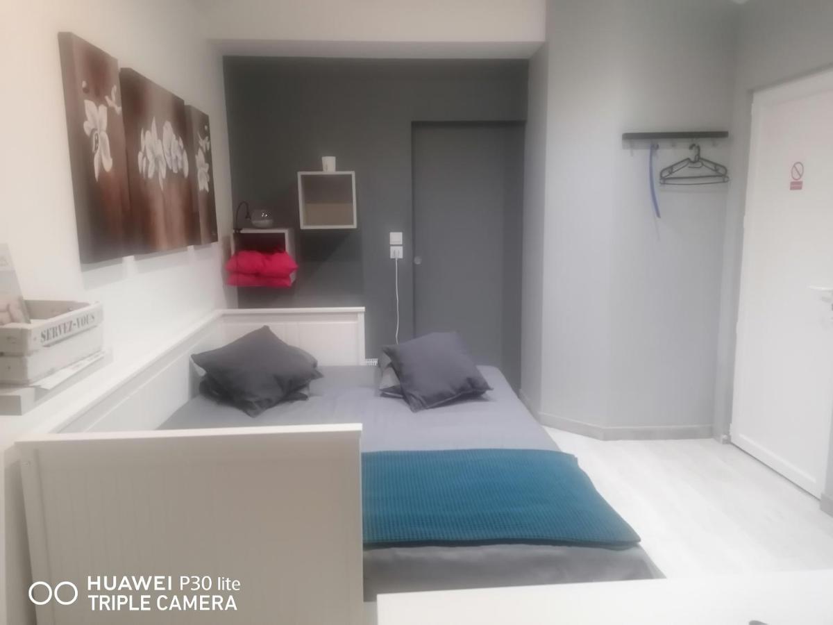 Petit Nid Douillet Apartment Reventin-Vaugris Ngoại thất bức ảnh